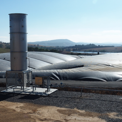 CAL operating at a meat processing plant in NSW.