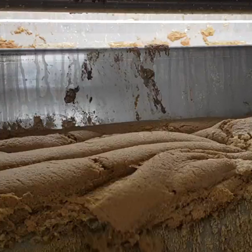 Sludge being scraped of the surface of a HyDAF HD-100V at a meat processing plant in TAS
