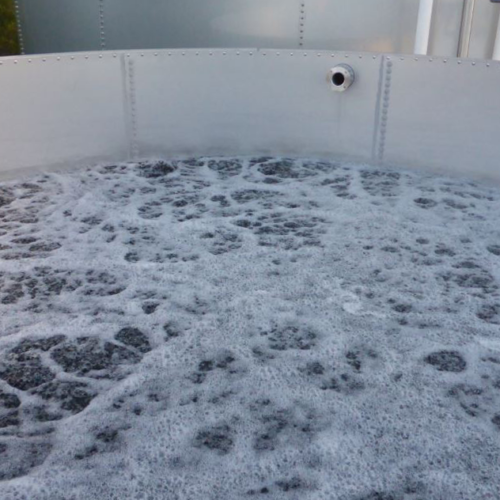 A MBBR is an ideal biological process for the treatment of dairy wastewater
